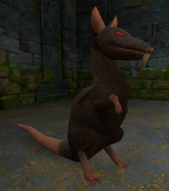 Rat from Tomb Raider I Remastered