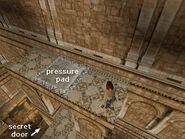 If you move to the edge and look down, you can see the secret door, indicated in this screenshot.