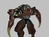 Mauki
