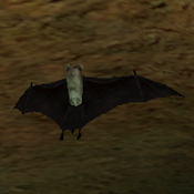 Bat render in Tomb Raider: The Angel of Darkness