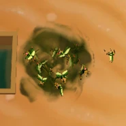 Scarab in Tomb Raider Reloaded