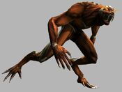 Tomb Raider: Anniversary