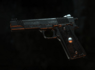Accipiter Nox (ROTTR)