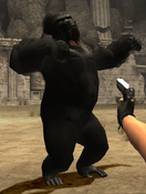 Tomb Raider: Anniversary