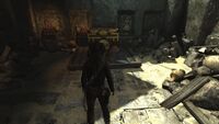 TombRaider 2013-03-10 17-39-50-55