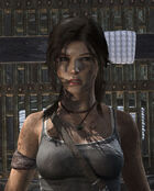 Lara Croft - Survior