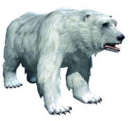 Polar Bear Render