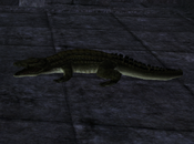 Crocodile in Tomb Raider: Anniversary ingame