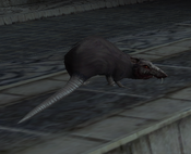 Rat in Tomb Raider: Anniversary