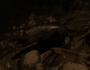 Rat from Shadow of the Tomb Raider