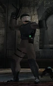 Submachine gun and shield