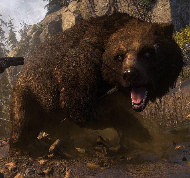 rise of the tomb raider bear hide