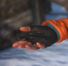 Lockpick in Rise of the Tomb Raider