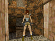 Here Lara is standing inside the secret area after landing the jump.