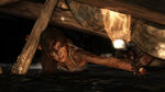 TombRaider 50596 screen