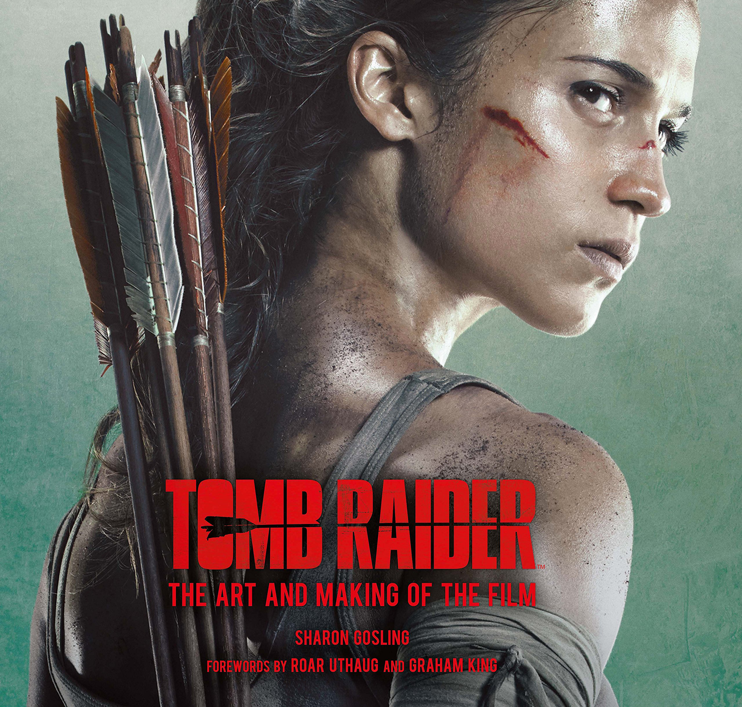 Tomb Raider  Tomb raider, Tomb raider 2018, Tomb raider lara croft