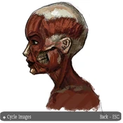 20170527114300 1.jpg (129 KB)