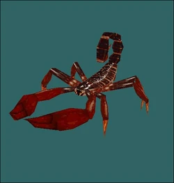 Scorpion