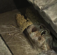 Himiko's Original Body