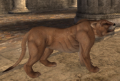 Tomb Raider: Anniversary