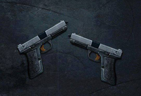 LC Reflections Dual Pistols