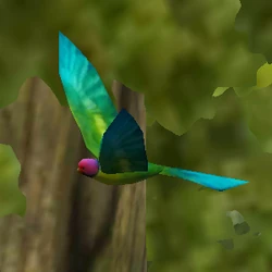 Blossom-headed Parakeet