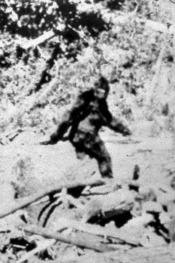 List of Monster Hunter monsters Larry Correia Wiki Fandom