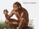 Hominid