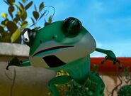 the frog leader