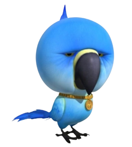 Birb