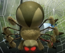 Spider1