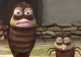 Roach brothers
