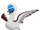 Booby