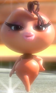 Cocoa