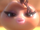Cocoa