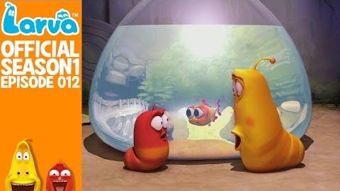 larva animation wiki fandom