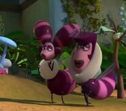 The wasps disguised