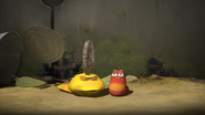 a coin falls on Yellow's head.