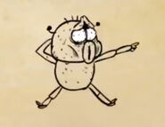 Brown tloinking