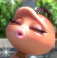 Cocoa