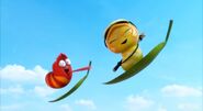 Red and Mango having fun
