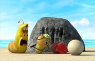 Yellow and Mango checking on Red