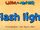Flash light