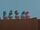 Flock of pigeons