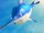 Swordfish