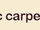 Carpet