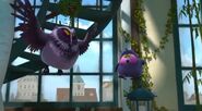 Mauve was proud