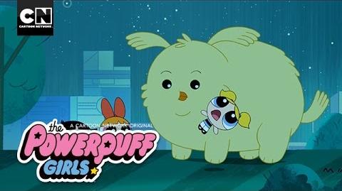 Powerpuff Girls Cheepy Returns Home Cartoon Network