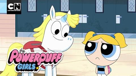 Ultimate Friendship Week The Powerpuff Girls Cartoon Network