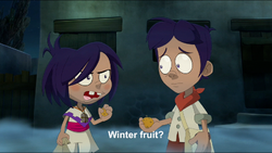 Winter Fruit